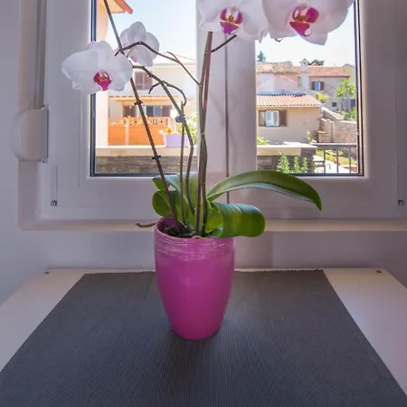 Apartment Andrej In Veli Losinj